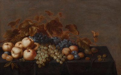 Still Life of Fruit on a Table Draped with a Dark Cloth: Plums, Apples, Bunches of Black and White Grapes and Pears by Floris Gerritsz van Schooten